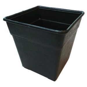 No.501 Plastic Pot (Black) (8.5cmL x 8.5cmW x 8cmH)