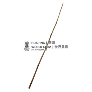 Bamboo Stick 竹枝 4ft (1.2mL, 5mm – 10mmØ)