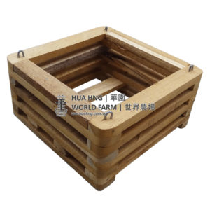 Wooden Orchid Basket 8″ (21cmL x 21cmW x 10cmH)