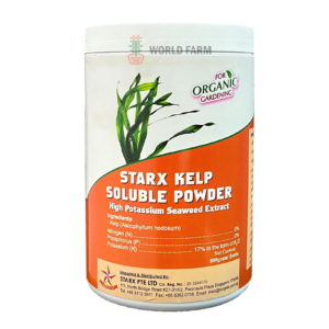 STARX Kelp Soluble Powder (800g bottle)