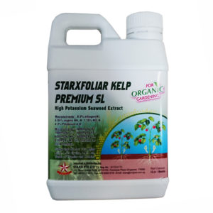 STARX Starxfoliar Kelp Premium SL (1L conc)