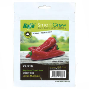 BABA Seed VE-018 Lowland Capsicum (Pack)