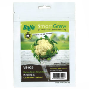 BABA Seed VE-026 Cauliflower Lowland (Pack)