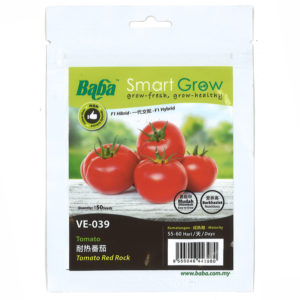 BABA Seed VE-039 Tomato Red Rock (Pack)