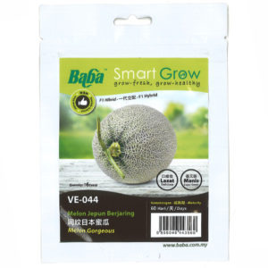 BABA Seed VE-044 Melon Gorgeous (Pack)
