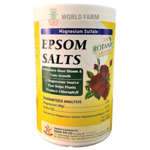 STARX Epsom Salts (1kg bottle)
