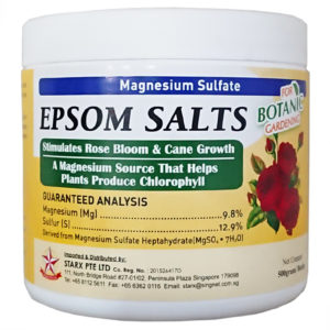 STARX Epsom Salts (500g bottle)