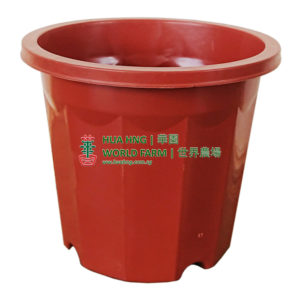 A220x190 China Plastic Pot