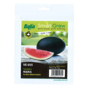 BABA Seed VE-055 F1 Ice Box Watermelon (Pack)