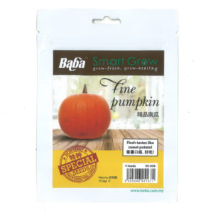 BABA Seed VE-058 Fine Pumpkin (Pack)