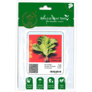 BAN LEE HUAT Seed HF03 Big Leaf Tang-oh (Pack)