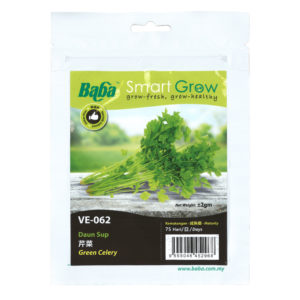 BABA Seed VE-062 Green Celery (Pack)