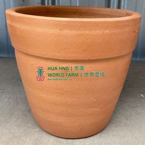 TC#30 Clay Pot (A) (30cmØ x 30cmH)