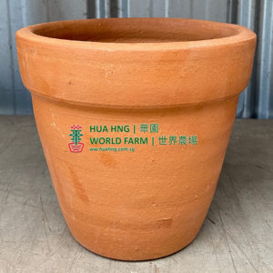 TC#30 Clay Pot (C) (20cmØ x 20cmH)