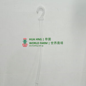 OCTO Flower Pot Hanger (Transparent) (50cmL)