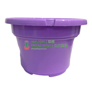 OCTO POT-220 (Purple) (21.5cmØ x13.5cmH)