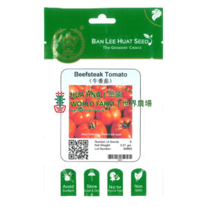 BAN LEE HUAT Seed HI21 Beefsteak Tomato (Pack)