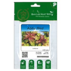 BAN LEE HUAT Seed HL101 Lettuce – Abby Red (Pack)