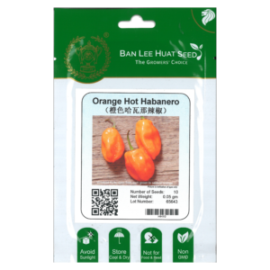 BAN LEE HUAT Seed HH10 Orange Hot Habanero (Hot Pepper) (Pack)
