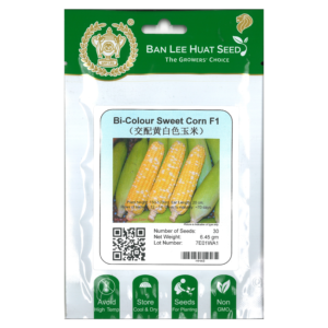 BAN LEE HUAT Seed HH45 Bi-Colour Sweet Corn F1 (Hybrid Sweet Corn) (Pack)