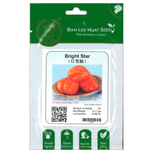 BAN LEE HUAT Seed HH51 Bright Star (Hybrid Sweet Pepper) (Pack)