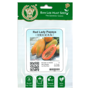 BAN LEE HUAT Seed HI50 Red Lady Papaya (Hybrid Papaya) (Pack)