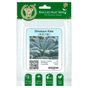 BAN LEE HUAT Seed HL04 Dinosaur Kale (Pack)