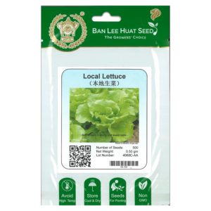BAN LEE HUAT Seed HL100 Local Lettuce (Pack)