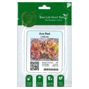 BAN LEE HUAT Seed HL102 Ava Red (Lettuce) (Pack)