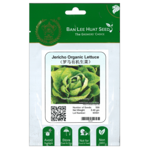 BAN LEE HUAT Seed HL41 Jericho Organic Lettuce (Pack)