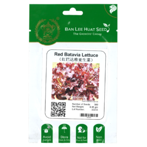 BAN LEE HUAT Seed HL45 Red Batavia Lettuce (Pack)