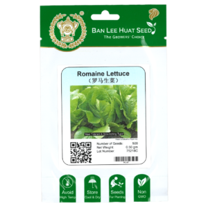 BAN LEE HUAT Seed HL47 Romaine Lettuce (Pack)