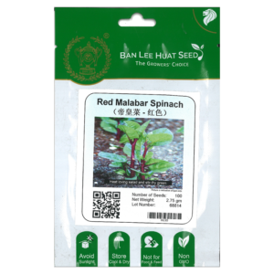 BAN LEE HUAT Seed HL55 Red Malabar Spinach (Pack)