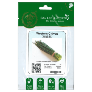 BAN LEE HUAT Seed HN02 Western Chives (Pack)