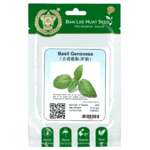 BAN LEE HUAT Seed HN10 Basil Genovese (Pack)