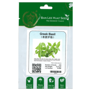 BAN LEE HUAT Seed HN15 Greek Basil (Pack)