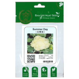 BAN LEE HUAT Seed HT01 Summer Day (Hybrid Cauliflower) (Pack)