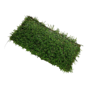 Artificial Carpet Grass E2000 Edengrass (25mL x 2mW x 20mmT roll)