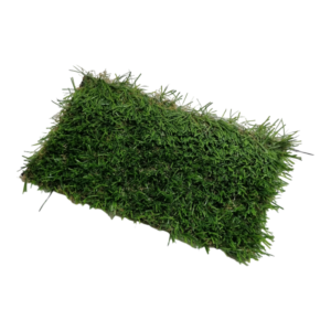 Artificial Carpet Grass E2500 Edengrass (25mL x 2mW x 25mmT roll)