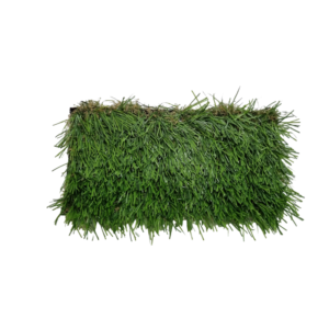Artificial Carpet Grass E3000 Edengrass (25mL x 2mW x 30mmT roll)
