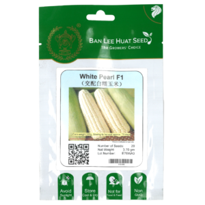 BAN LEE HUAT Seed HH46 White Pearl F1 (Hybrid Glutinous Corn) (Pack)