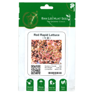 BAN LEE HUAT Seed HL111 Red Rapid Lettuce (Pack)