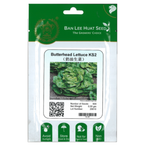 BAN LEE HUAT Seed HL46 Butterhead Lettuce KS2 (Pack)